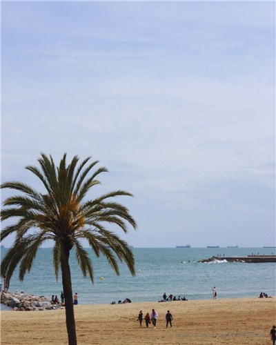 地中海